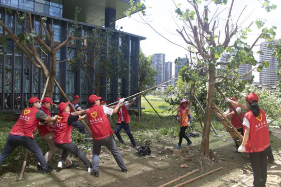 1605594926870911.png image.png