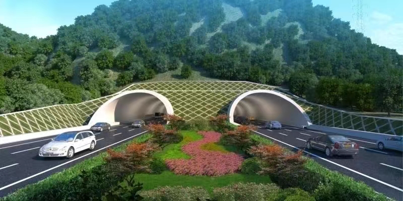 1658366316403954.jpg 1658366316403954.jpg