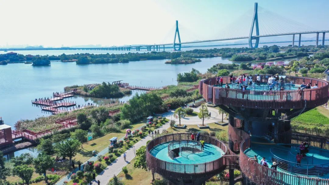 1721011088953043.jpg 6.jpg