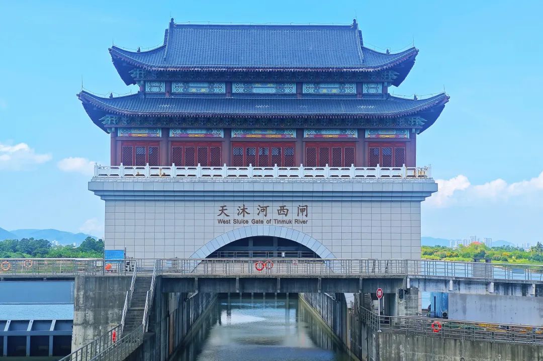 1733475429605437.jpg 5.jpg