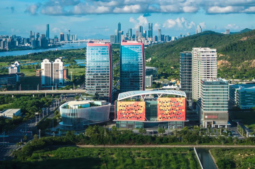 1734789953607746.jpg 7.jpg