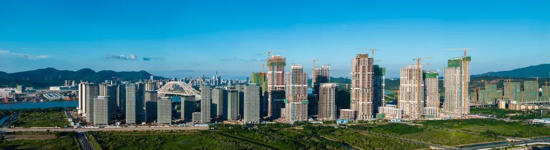 1735110991192369.jpg 2.jpg