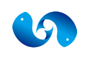 C币钱包
