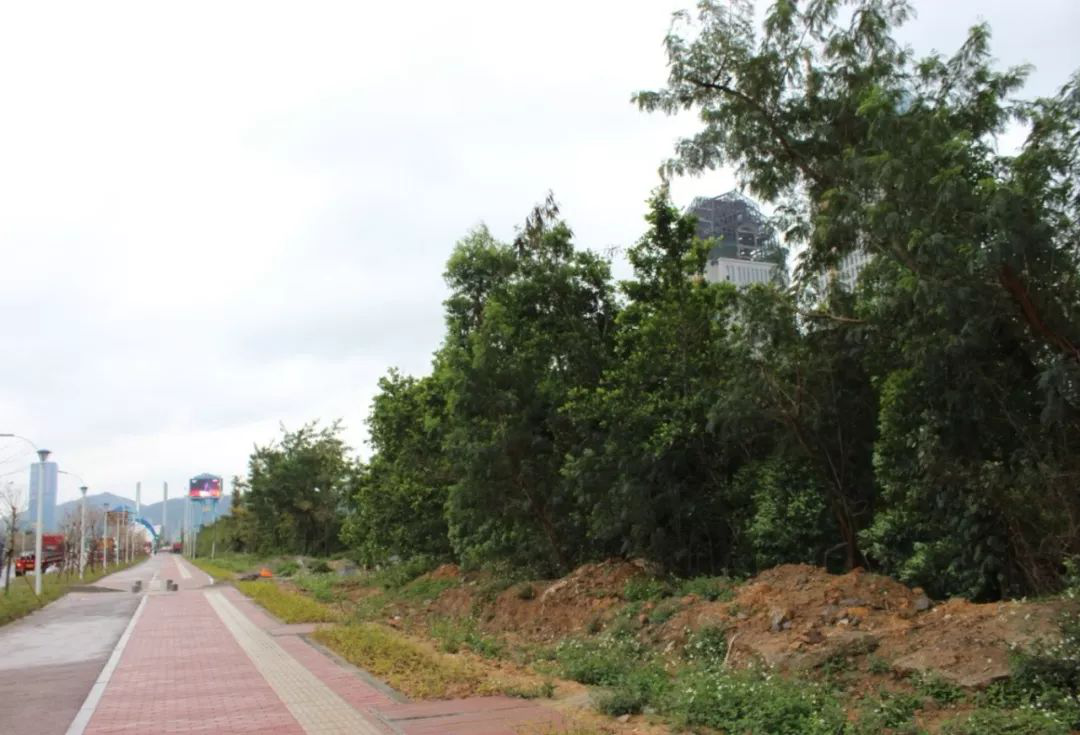 1604397585742500.png 06.png