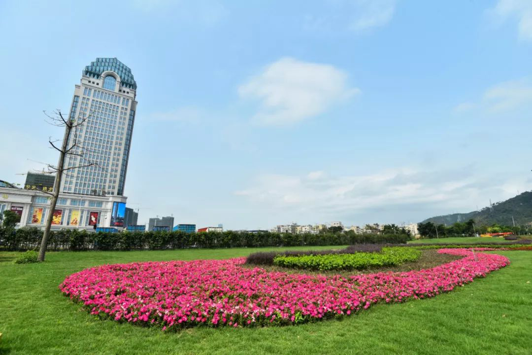 1604397770602245.png 12.png