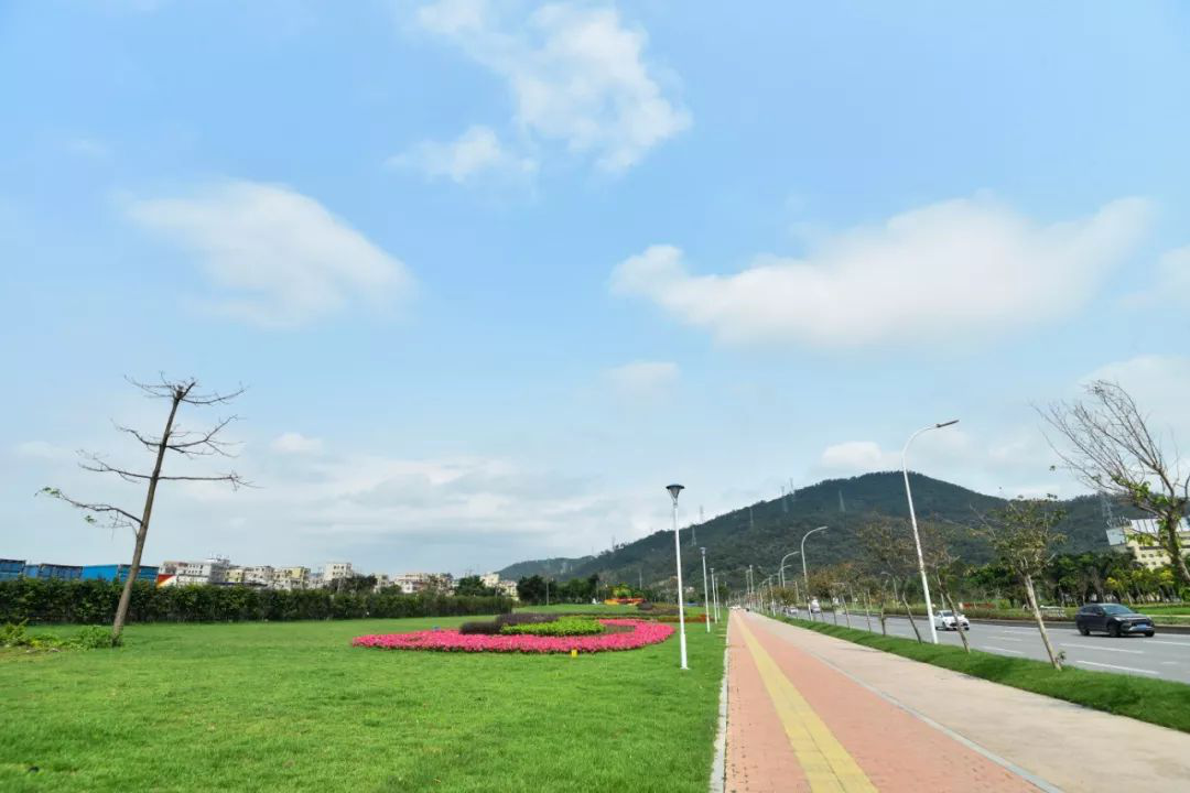 1604397788723712.png 13.png