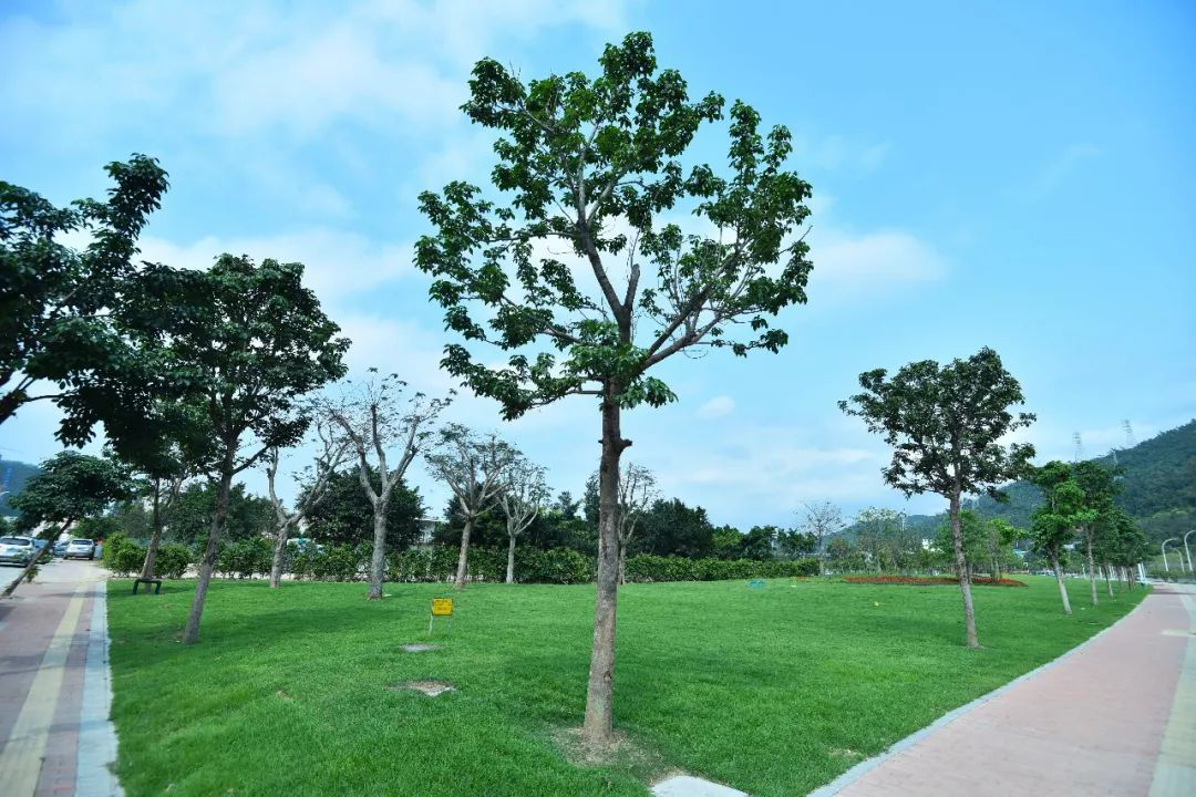 1604397807262201.png 14.png