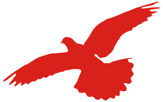 1604544200728931.png image.png