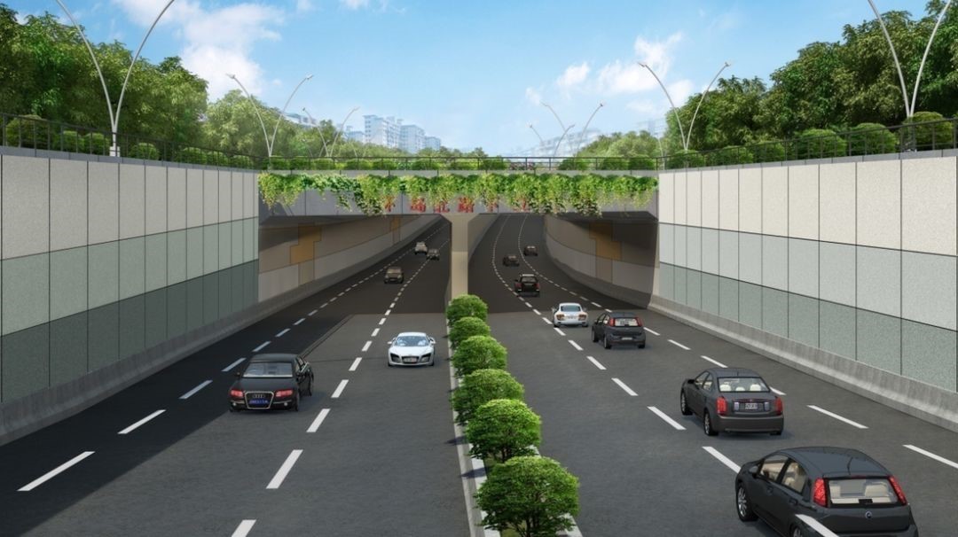 1605864109181209.jpg 1.jpg