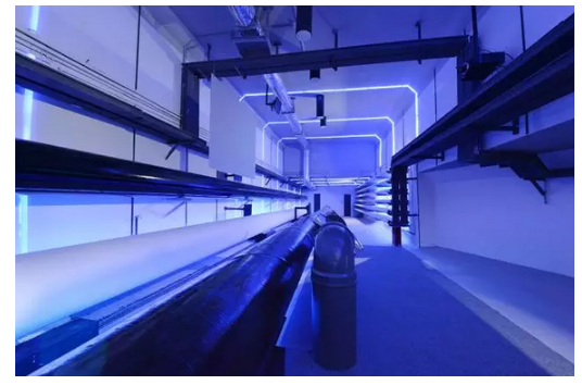 1606466416317295.png 3.png