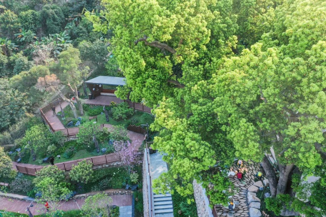 1683170951418373.jpg 微信图片_20230504112129.jpg